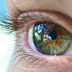 Retina e Vitreo